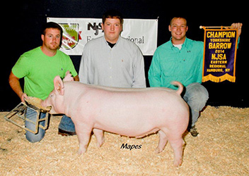 Upperhand Winners