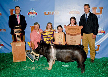 Winners