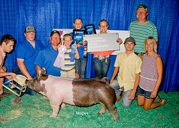 Winners