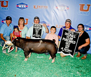 Winners