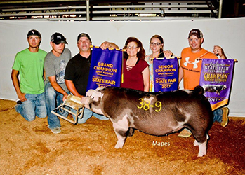 Winners
