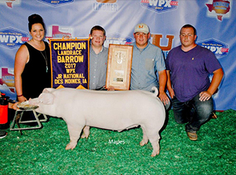Winners