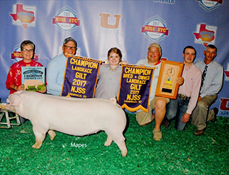 Winners