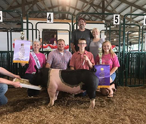 Upperhand Winners