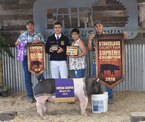 Winners