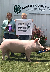 Uppperhand Winners
