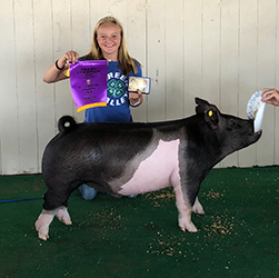 Upperhand Winners