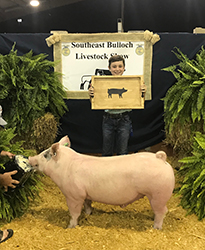 Upperhand Winners
