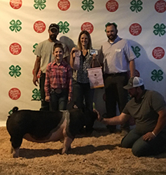 Upperhand Winners