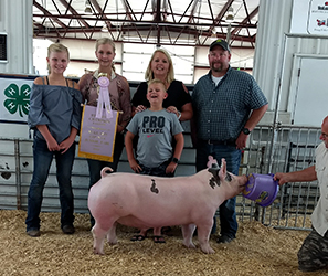 Upperhand Winners