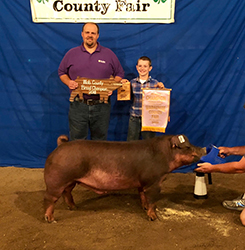 Upperhand Winners