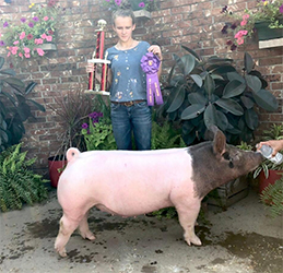 Upperhand Winners
