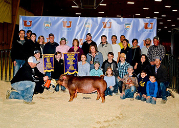 Upperhand Winners