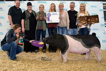 Upperhand Winners