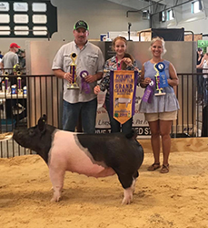 Upperhand Winners