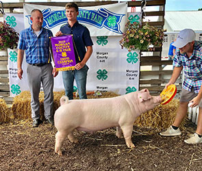Upperhnd Winners