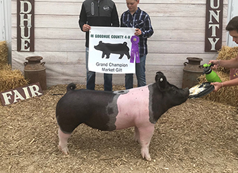Upperhand Winners