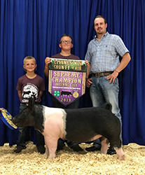 Upperhand Winners