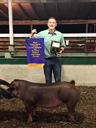 Upperhand Winners
