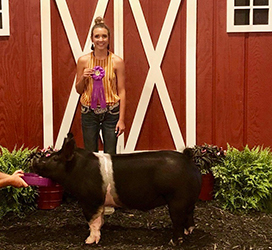 Upperhand Winners