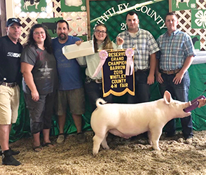 Upperhand Winners
