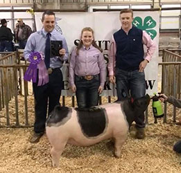 Upperhand Winners