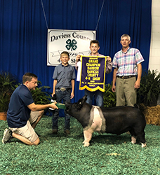 Upperhand Winners