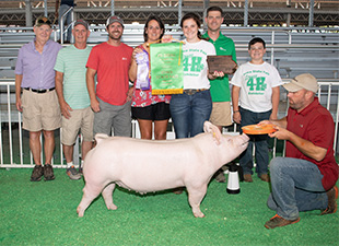 Upperhand Winners