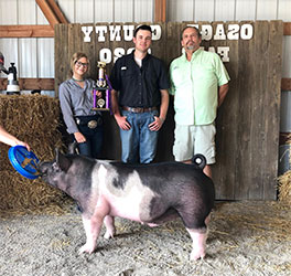 Upperhand Winners