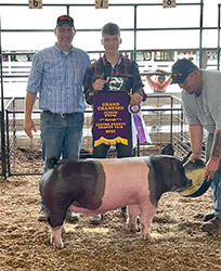 Upperhand Winners