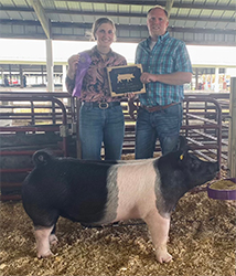 Upperhand Winners