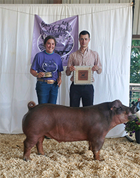 Upperhand Winners