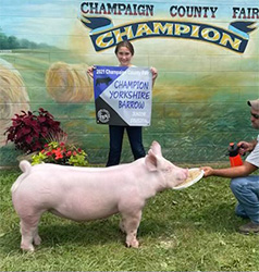 Upperhand Winners