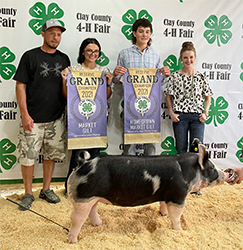 Upperhand Winners