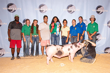 Upperhand Winners