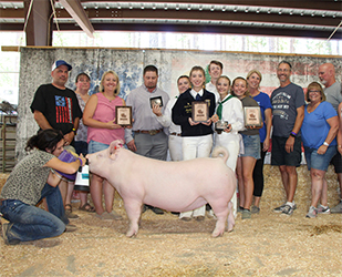 Upperhand Winners