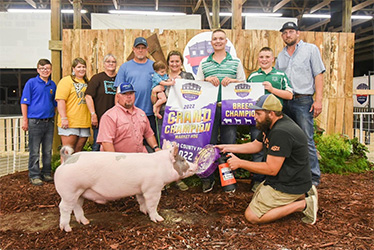 Upperhand Winners