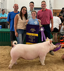Upperhand Winners