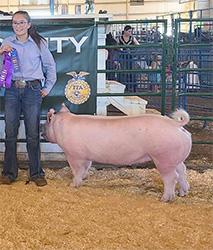 Upperhand Winners