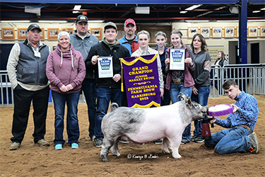 Upperhand Winners