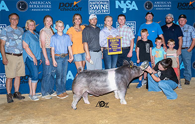 Upperhand Winners