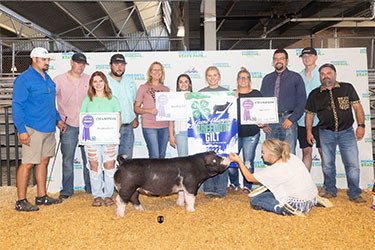 Upperhand Winners