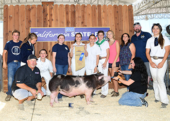 Upperhand Winners