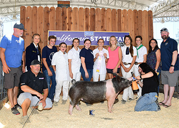 Upperhand Winners
