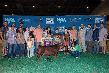 Upperhand Winners