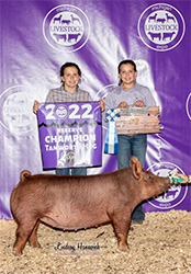 Upperhand Winners