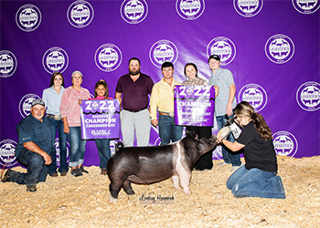 Upperhand Winners