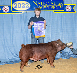 Upperhand Winners