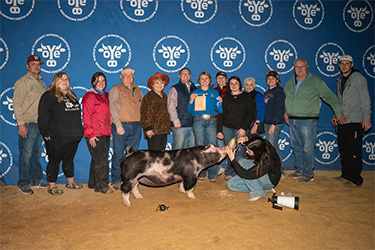 Upperhand Winners