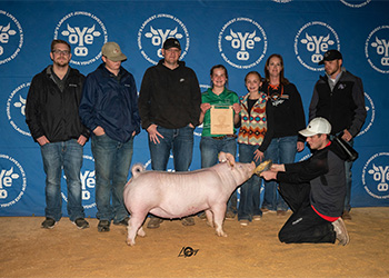 Upperhand Winners